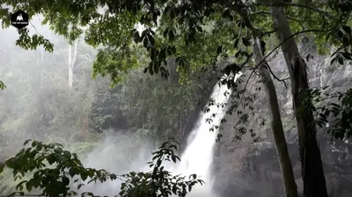 Soochipara Falls - Wayanad tourist attraction